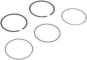 Briggs and Stratton 594437 Piston Ring Set Lawn Mower Replacement Parts