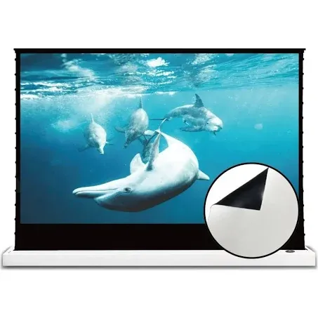 VIVIDSTORM S White Cinema Motorized Tension Floor Rising Projector Screen