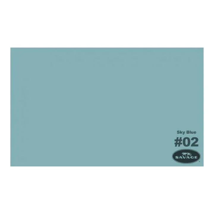 The Bd Company Background Paper 53 In. X 12 Yd. Roll Sky Blue (2-1253) | Staples