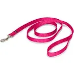 PetSafe Nylon Leash 3/4&#034; x 6&#039; Raspberry