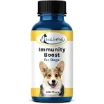 Natural Dog Immunity Support Supplement // BestLife4Pets