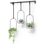 Umbra Tri Flora Hanging Planter