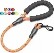 BAAPET 2/4/5/6 FT Dog Leash with Comfortable Padded Handle and Highly Reflective Threads for Small Medium and Large Dogs