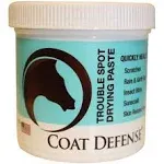 Coat Defense Trouble Spot Drying Paste - 24 oz