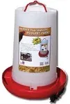 Farm Innovators 3-Gal. Heated Poultry Fountain