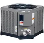 Raypak Digital Pool Heat Pump 80,000 BTU 240V | 016631