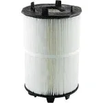 Pentair Filter Replacement Cartridge, 100 sq. ft.