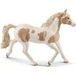 Tinker Stallion