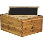 Hoover Hives 10 Frame Langstroth Deep Brood Box Dipped in 100% Beeswax Includes Wooden Frames &amp; Waxed Foundations (Unassembled)