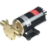 Johnson Pump Talulah Ballast Pump