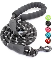 BAAPET 2/4/5/6 FT Dog Leash with Comfortable Padded Handle and Highly Reflective Threads for Small Medium and Large Dogs