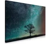 Navaris Magnetic Dry Erase Board - 16 x 24 inches Decorative White Board for Wall with Design, Includes 5 Magnets and Marker - Starry Sky and Tree