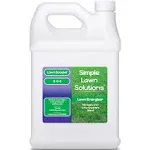 Simple Lawn Solutions Commercial Grade Lawn Energizer grass Micronutrient Booster with Iron Nitrogen