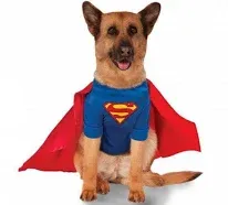 DC Comics Superman Big Dog Costume