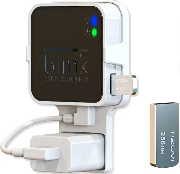 256GB Blink USB Flash Drive and Sync Module 2 Mount, Space Saving and Easy Move