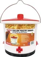 Farm Innovators Hb-60p Heated 2 Gallon Poultry Drinker