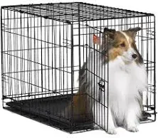 Midwest Single Door iCrate Dog Crate