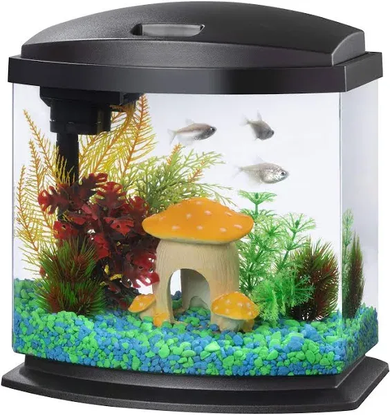 LED MiniBow Small Aquarium Fish Tank Kit with SmartClean Technology, Black,