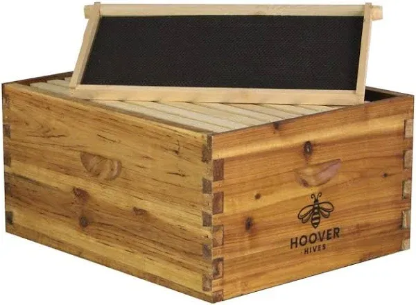 Hoover Hives 10 Frame Langstroth Deep Brood Box Dipped in 100% Beeswax Includes Wooden Frames &amp; Waxed Foundations (Unassembled)