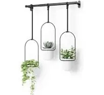 Umbra Tri Flora Hanging Planter