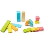 Tegu 14 Piece Magnetic Wooden Block Set in Tints