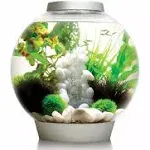 biOrb Classic 30 Acrylic 8-Gallon Aquarium with White LED Lights Modern Tank ...