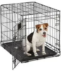 MidWest Homes for Pets Small Dog Crate | Life Stages 24' Folding Metal Crate | Divider Panel, Floor Protecting Feet, Leak-Proof Dog Pan | 24L x 18W x 19H Inches, Small Dog Breed