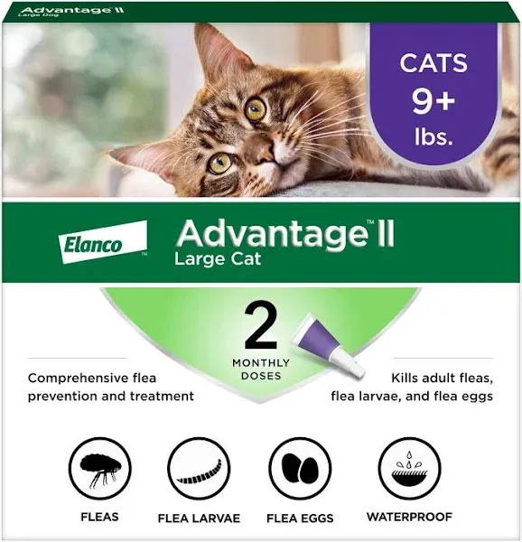 Advantage II Once-A-Month Topical Large Cat Flea Treatment - 2 count