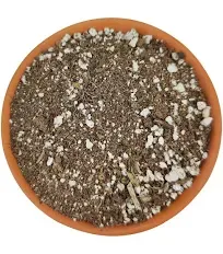 Succulent Potting Soil | Organic Cactus and Succulent Soil Mix (2 quarts)