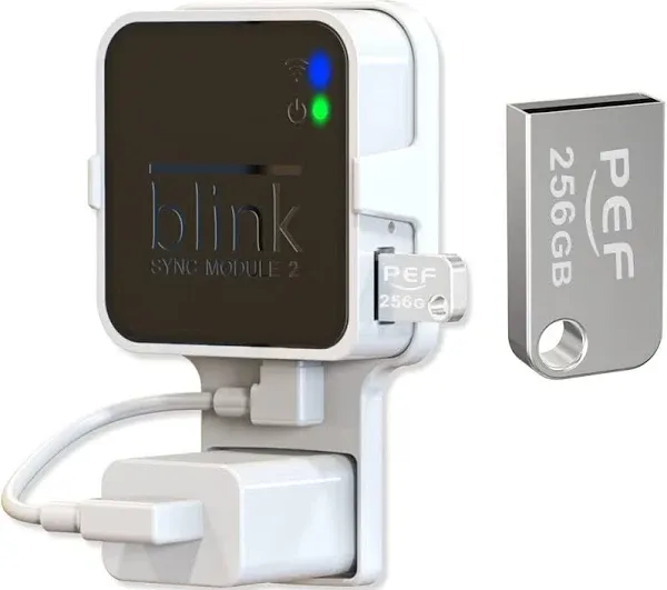 PEF 256GB Blink USB Flash Drive and Outlet Wall Mount for Blink Sync Module 2 Space Saving for Blink Outdoor Indoor Security Camera