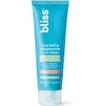 Bliss Foot Cream, Aloe Leaf & Peppermint - 4.0 fl oz