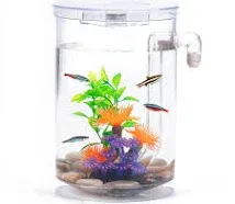 Betta Fish Tank, 360 Aquarium with LED Light, 1 Gallon Fish Bowl, Small Fish Tan