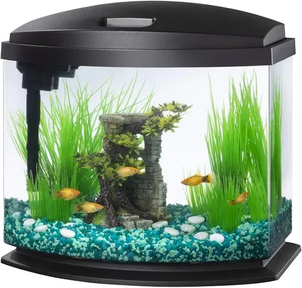 LED MiniBow Aquarium Kit with SmartClean Technology, White, 2.5 Gallon