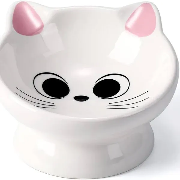 Raised Cat Food Bowl