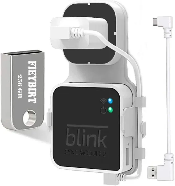 256GB USB Flash Drive with Blink Sync Module 2 Mount