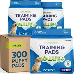 Pet Training Pads for Dogs - 100 Count, 22&#034; x 22&#034; Leak-Proof Puppy Potty Pads wi