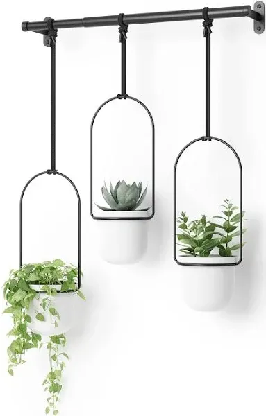 Umbra Triflora Hanging Planter for Window, Indoor Herb Garden, White/Black BNIB