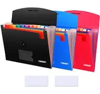 3 Pack 13-Pocket Expanding File, Plastic Expandable File Folder with Pockets,...