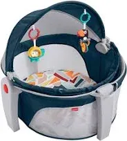 Fisher Price On The Go Baby Dome