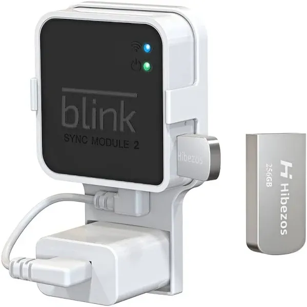 256GB USB Flash Drive and Outlet Mount for Blink Sync Module 2 save Space...