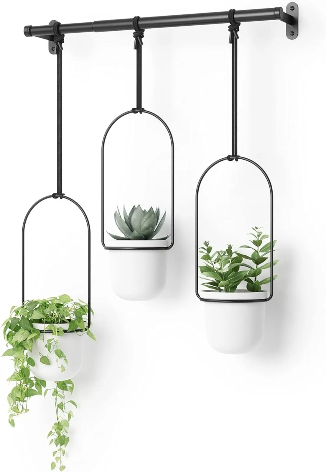 Umbra Triflora Hanging Planter for Window, Indoor, White/Black, Triple