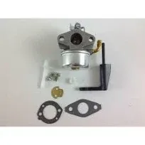 Briggs &amp; Stratton 591299 Lawn &amp; Garden Equipment Engine Carburetor Genuine Origi