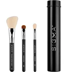 SIGMA ESSENTIAL TRIO BRUSH SET NWT