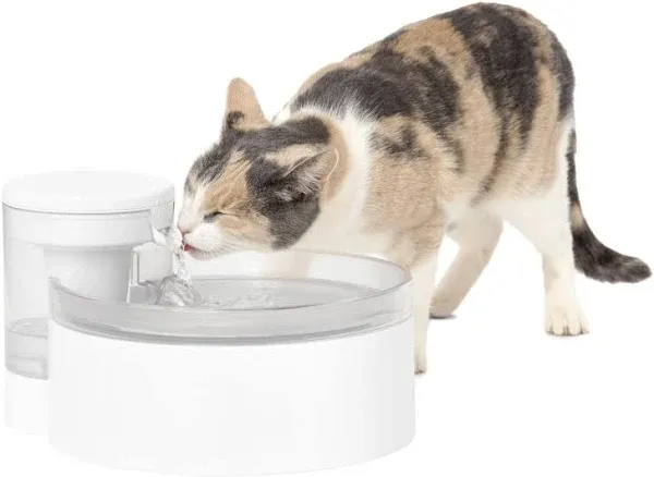 PetSafe Outlast Pumpless Cat Water Fountain