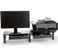 Mind Reader Dual Monitor Stand