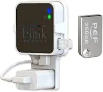 Blink 256GB USB Flash Drive