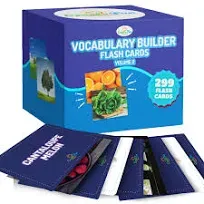 Vocabulary Builder Flash Cards Vol 2 300 Photo Cards with Learning Games