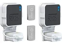 256GB Blink USB Flash Drive for Local Video Storage and the Outlet Mount for Bli