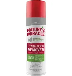 Nature's Miracle Dog Stain & Odor Remover Foam