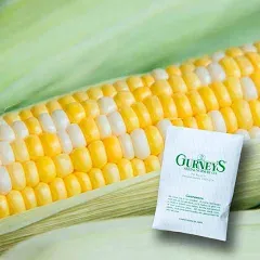 Silver Queen Hybrid White Sweet Corn (SU) (Zea mays)